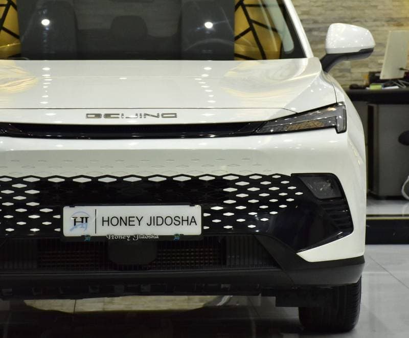 2024 BAIC X55 thumbnail 4