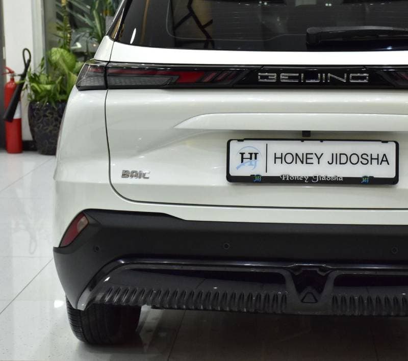 2024 BAIC X55 thumbnail 8
