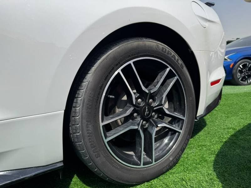2022 Ford Mustang STANDARD thumbnail 5