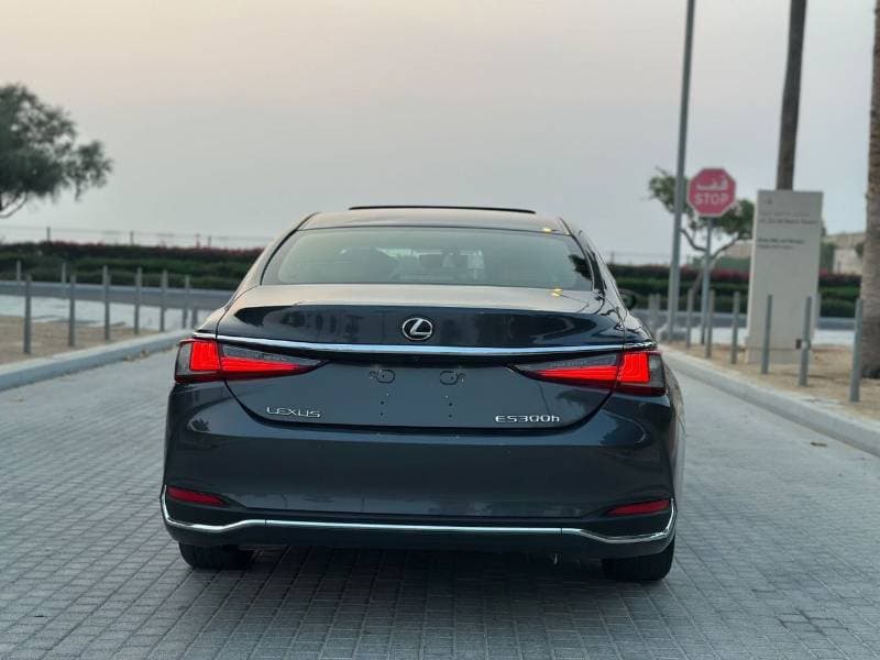 2023 Lexus ES300h HYBRID PLUS thumbnail 6