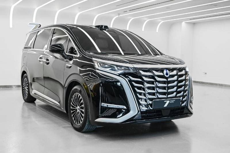 2025 Denza D9