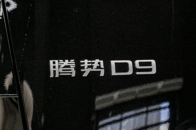 2025 Denza D9 thumbnail 7
