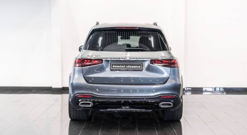 2025 Mercedes Benz GLS450 4MATIC thumbnail 6
