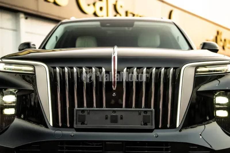 2022 Hongqi E-HS9 thumbnail 2