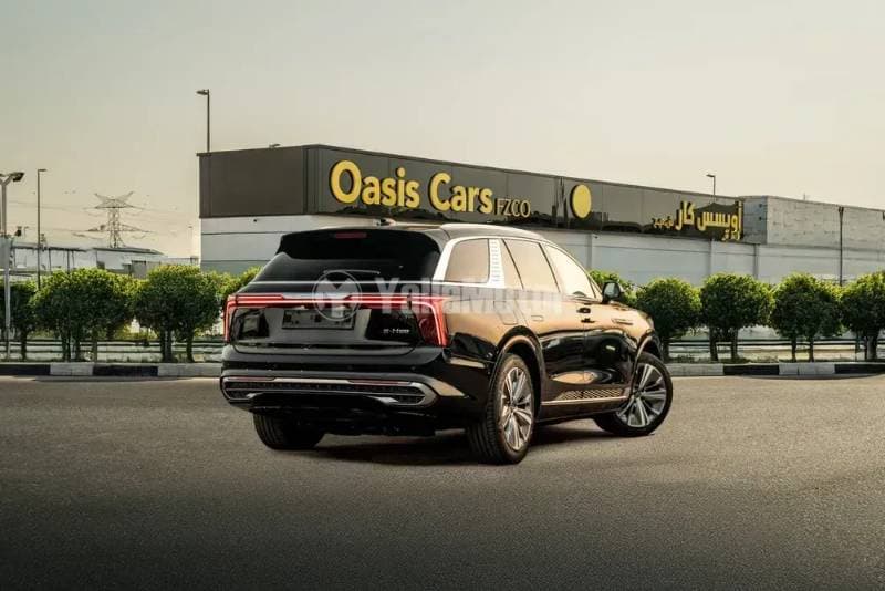 2022 Hongqi E-HS9 thumbnail 4