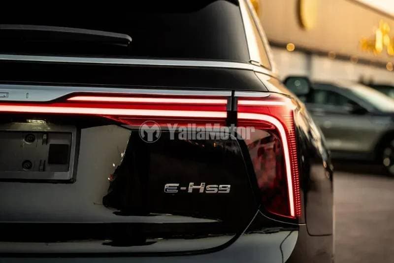 2022 Hongqi E-HS9 thumbnail 8