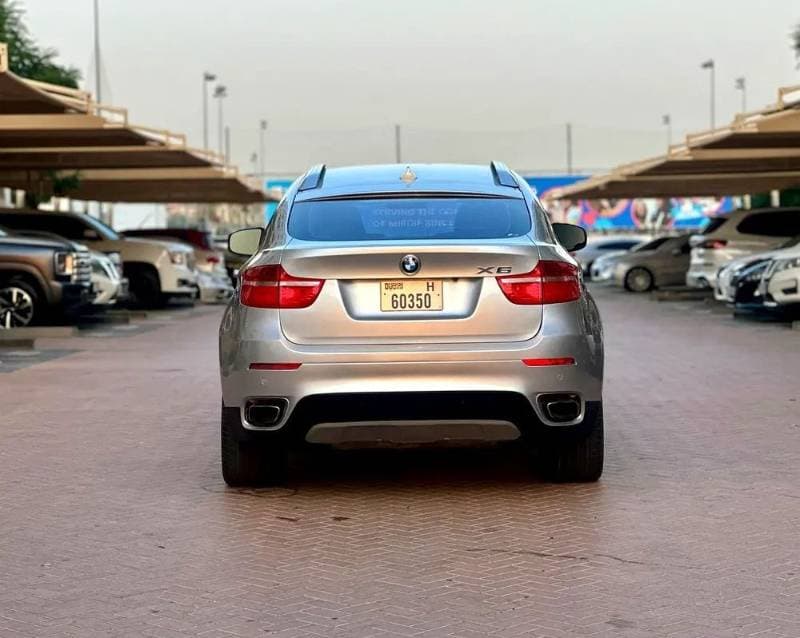 2011 BMW X6 thumbnail 5