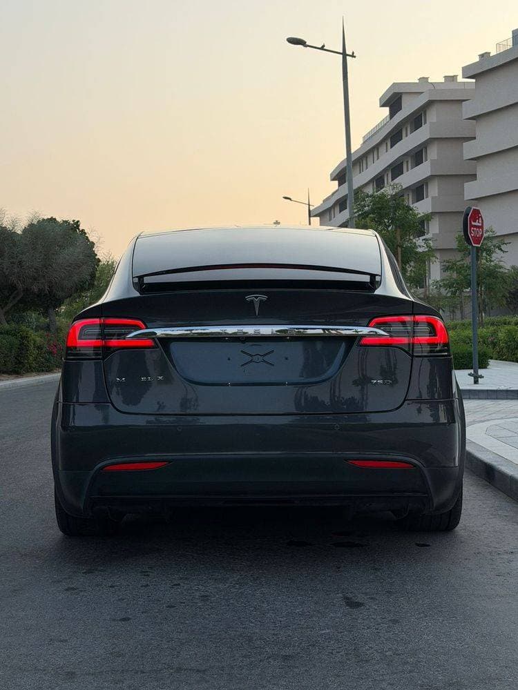 2018 Tesla Model X thumbnail 8