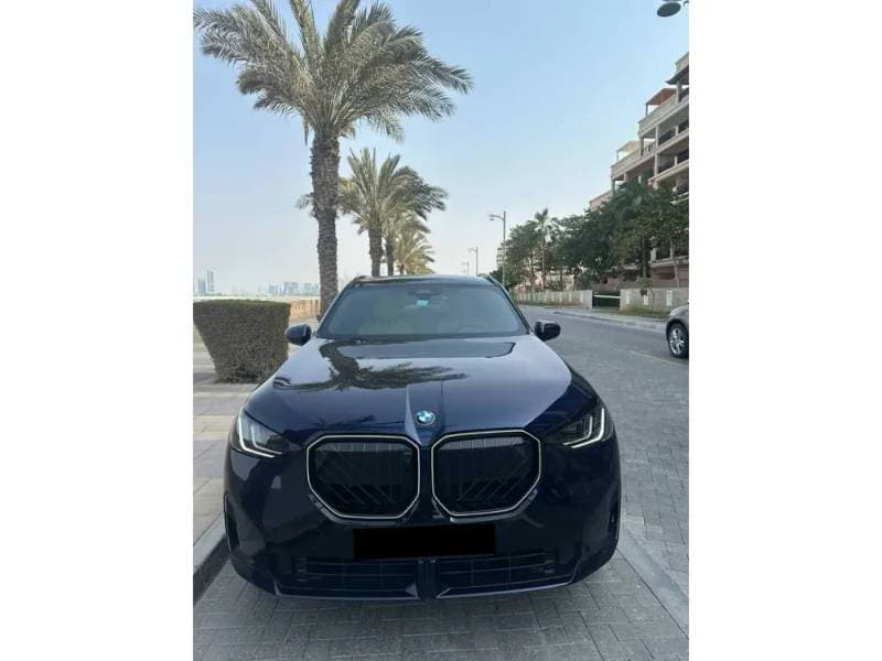 2025 BMW X3 thumbnail 2