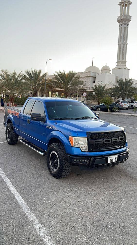 2014 Ford F-150 thumbnail 2