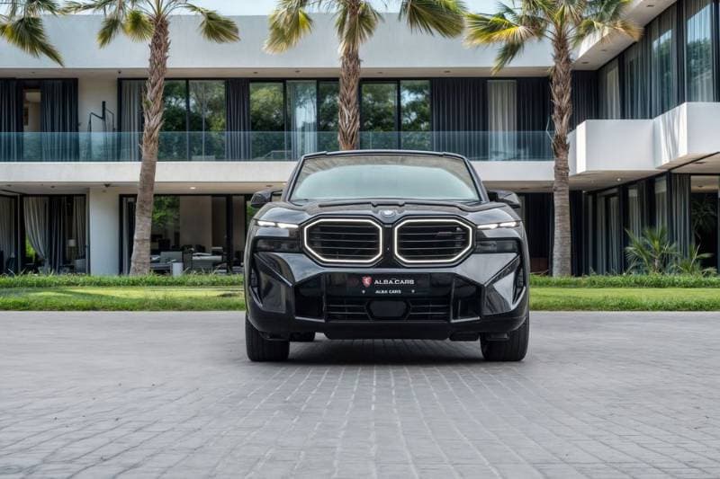 2025 BMW XM thumbnail 2