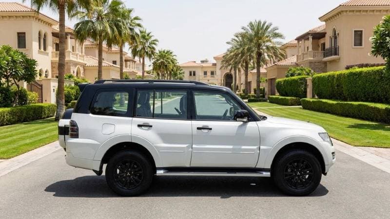 2020 Mitsubishi Pajero thumbnail 2