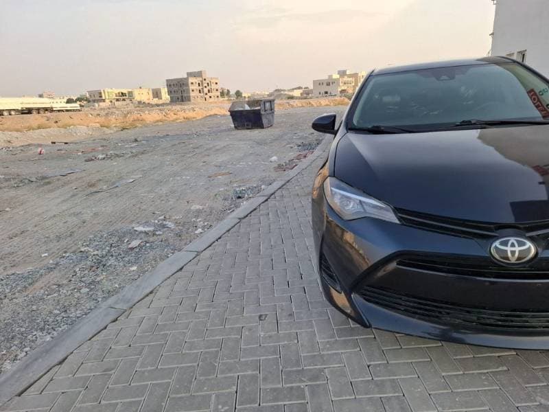 2019 Toyota Corolla thumbnail 4