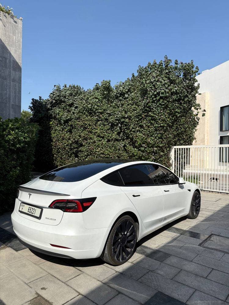 2022 Tesla Model 3 thumbnail 2