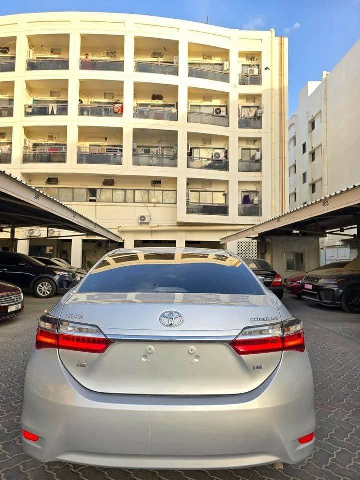 2019 Toyota Corolla thumbnail 4