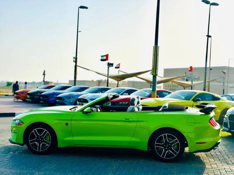 2020 Ford Mustang thumbnail 8