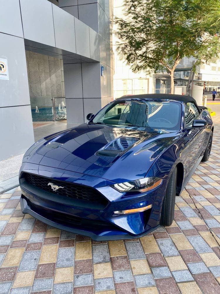 2018 Ford Mustang Convertible thumbnail 5