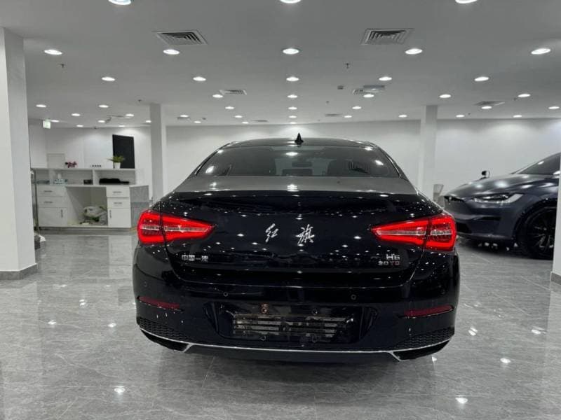 2019 Hongqi H5 thumbnail 4