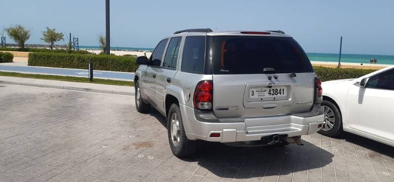 2008 Chevrolet Trailblazer thumbnail 4