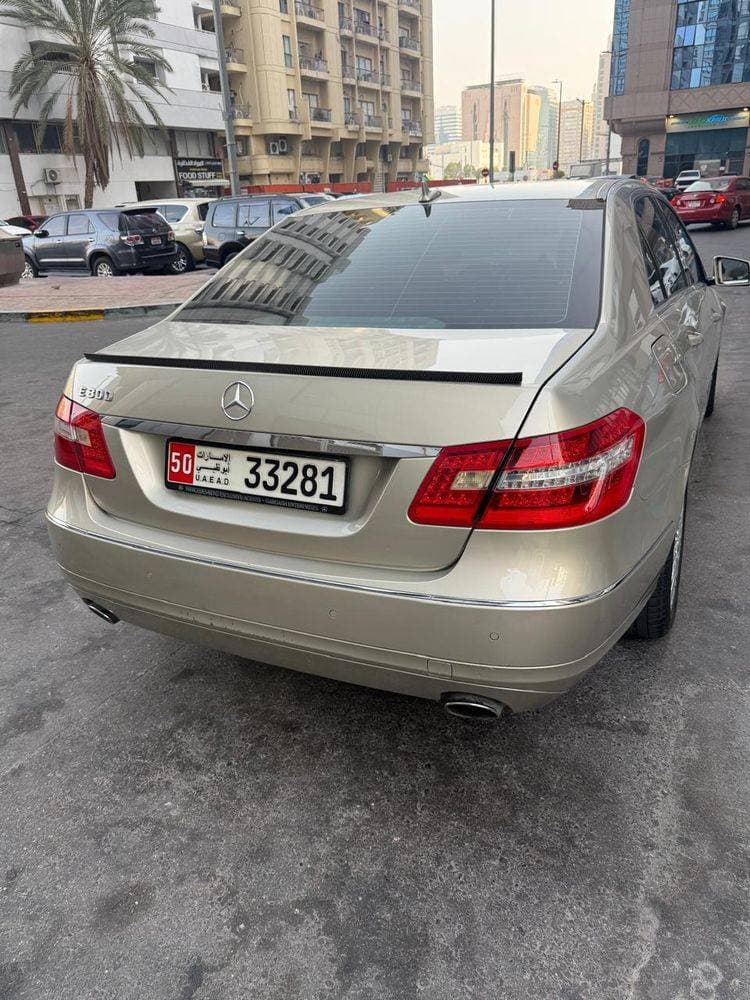 2010 Mercedes-Benz 300/350/380 thumbnail 2