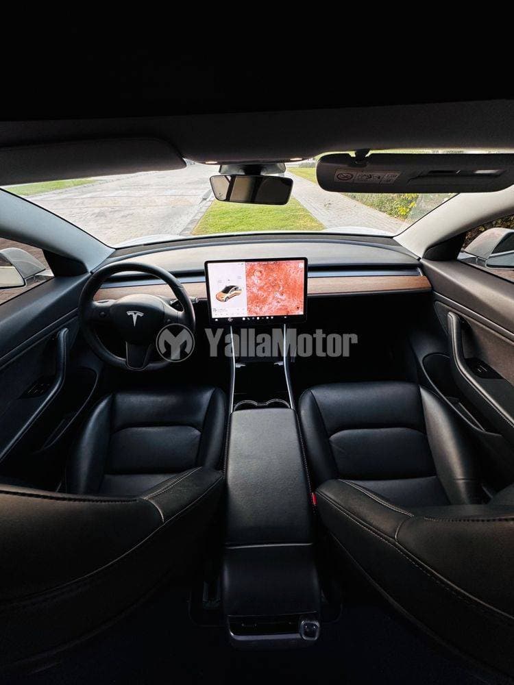 2020 Tesla Model 3 thumbnail 5