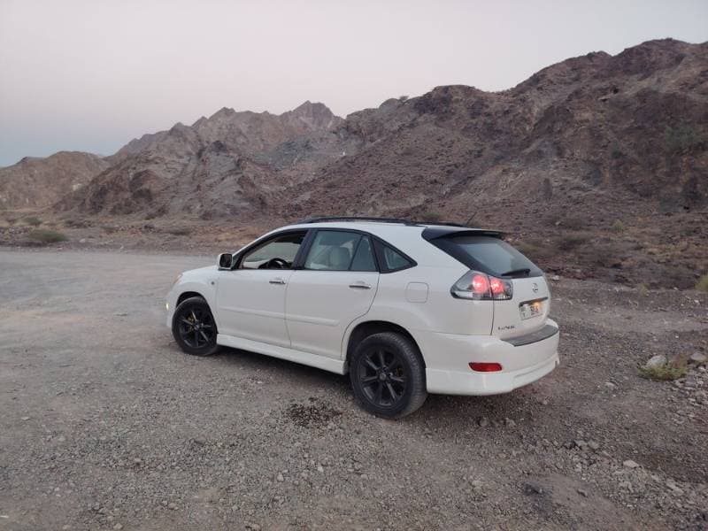 2008 Lexus RX