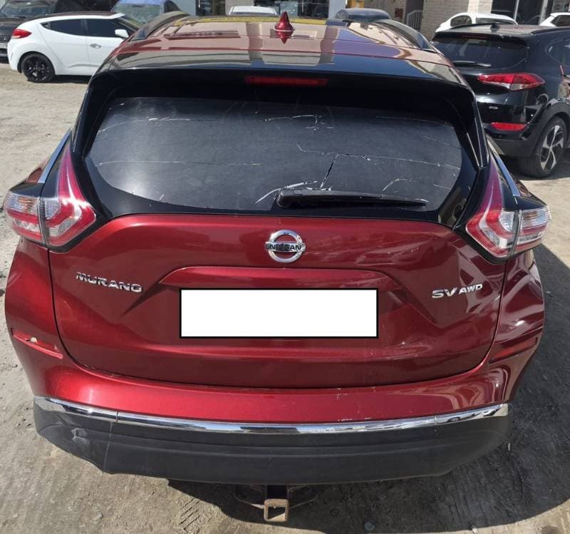 2017 Nissan Murano thumbnail 2