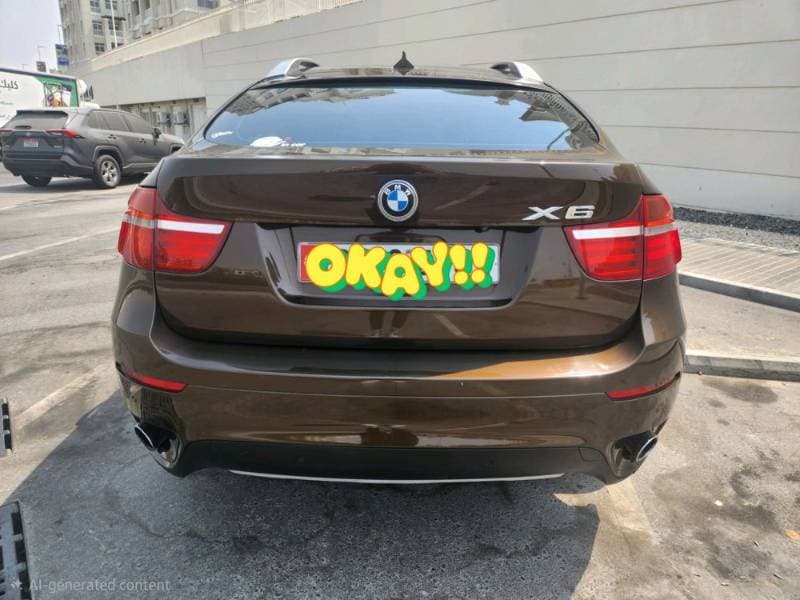 2013 BMW X6 thumbnail 5