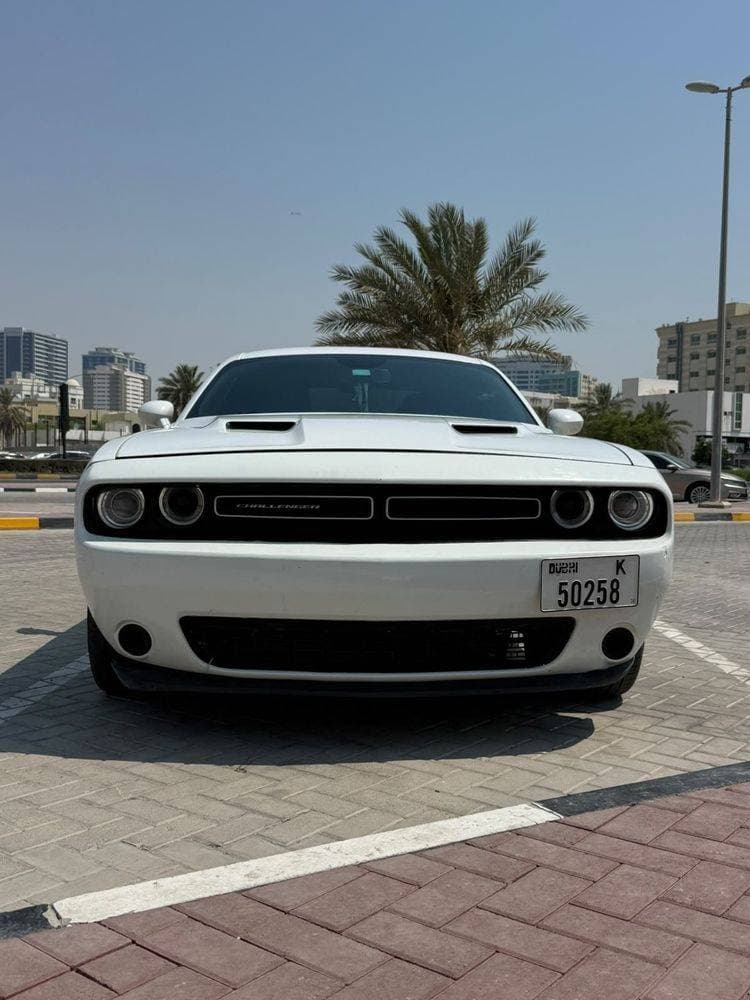 2019 Dodge Challenger thumbnail 2