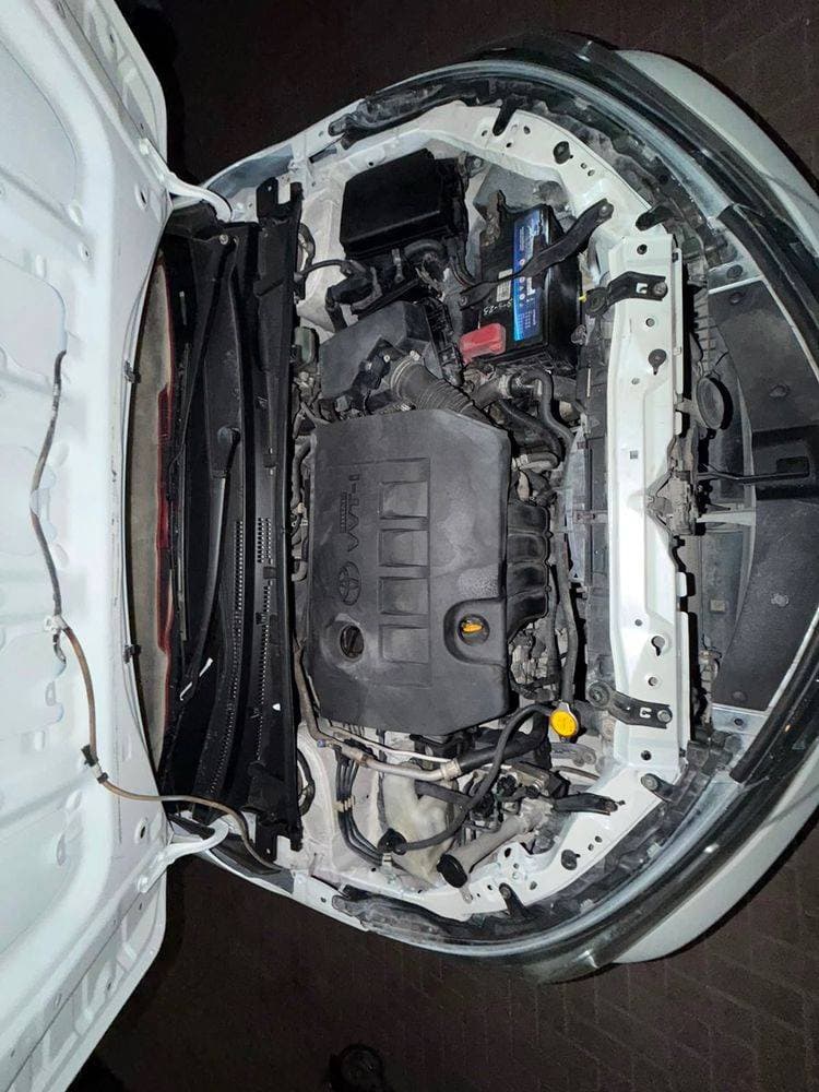 2019 Toyota Corolla thumbnail 3