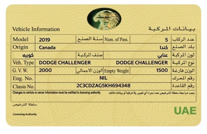 2019 Dodge Challenger thumbnail 4