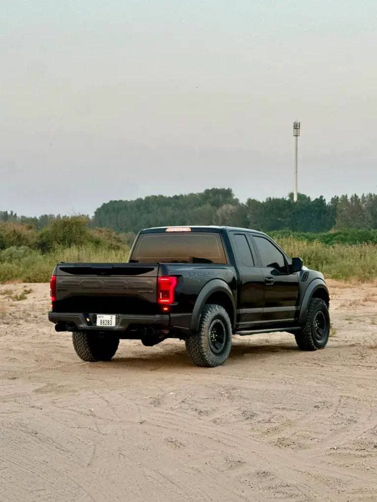 2018 Ford F-150 thumbnail 2