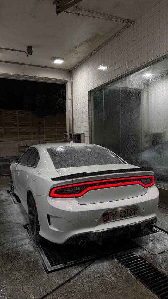 2019 Dodge Charger thumbnail 4