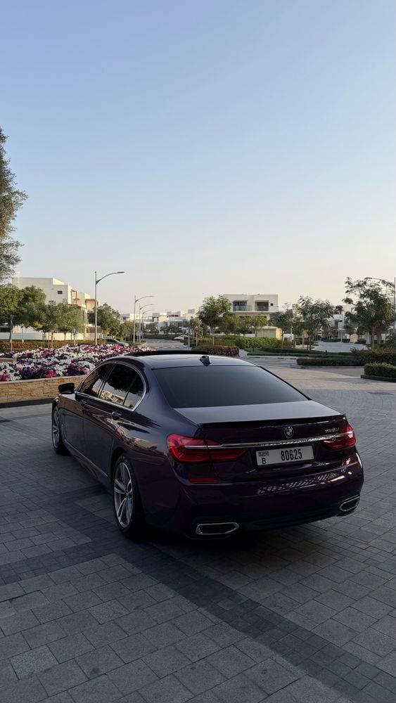2019 BMW 7 Series thumbnail 5