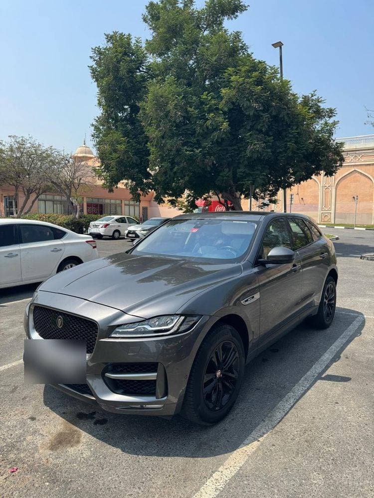 2019 Jaguar F-Pace thumbnail 5
