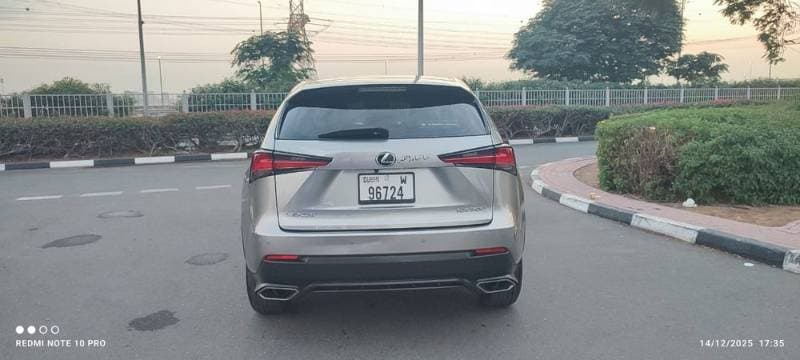 2019 Lexus NX thumbnail 4