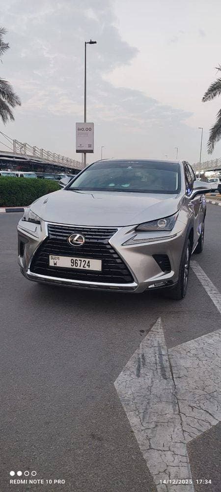 2019 Lexus NX