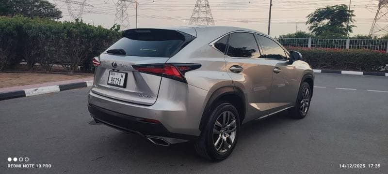 2019 Lexus NX thumbnail 6