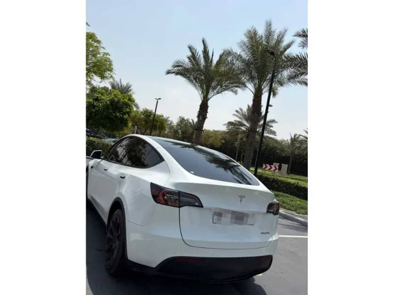 2022 Tesla Model Y thumbnail 6