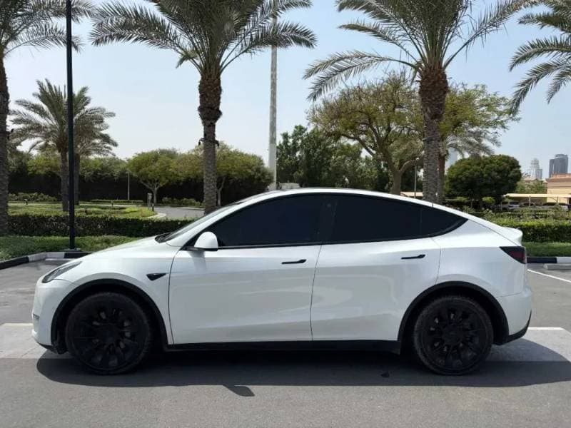 2022 Tesla Model Y thumbnail 4