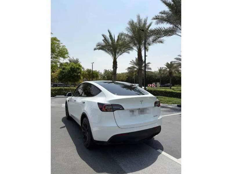 2022 Tesla Model Y thumbnail 7