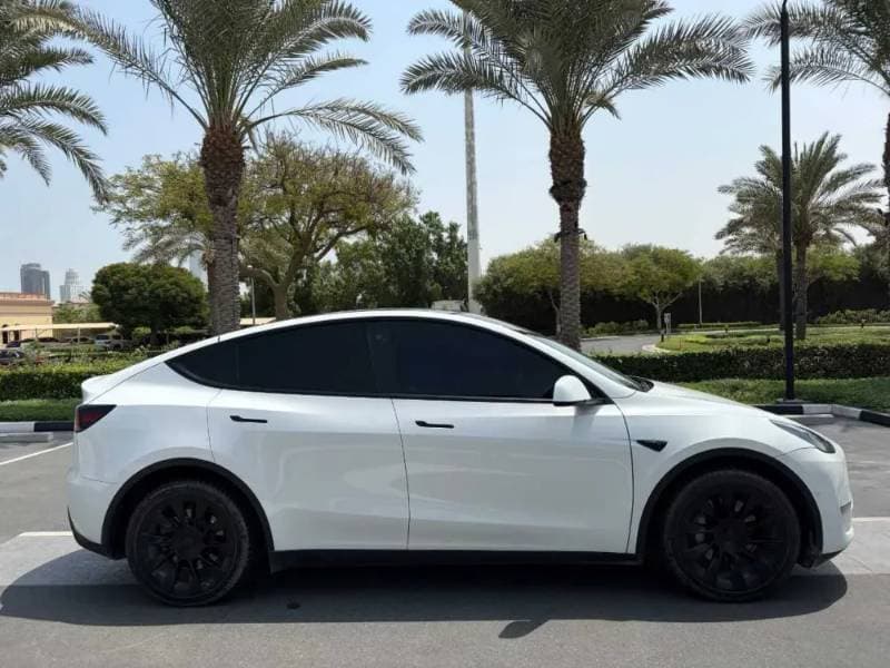 2022 Tesla Model Y thumbnail 8