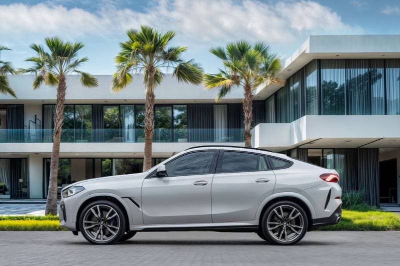 2022 BMW X6 thumbnail 2
