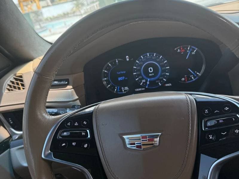 2019 Cadillac ESCALADE ESV thumbnail 2