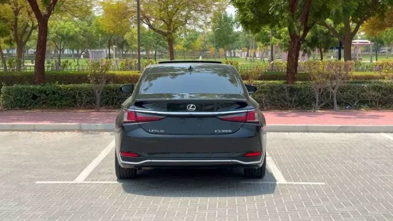 2025 Lexus ES thumbnail 8