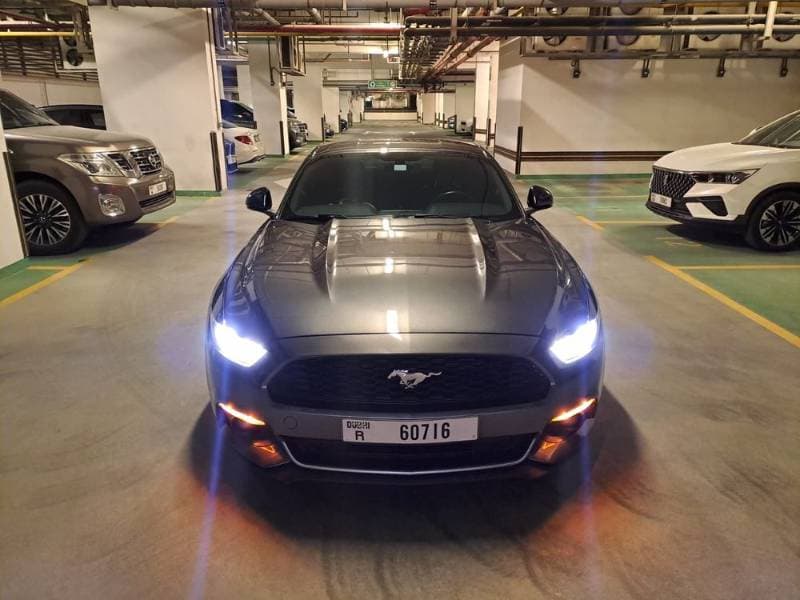 2016 Ford Mustang thumbnail 3