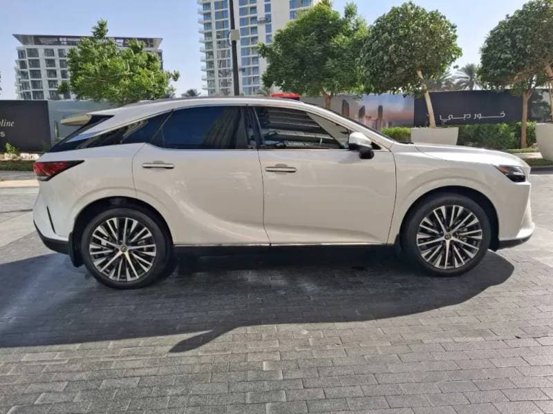 2023 Lexus RX thumbnail 8