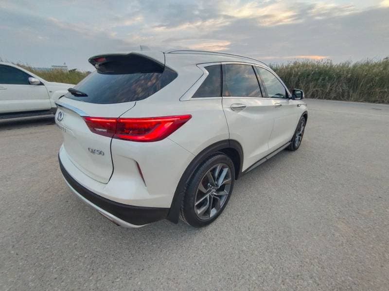 2019 Infiniti QX50 thumbnail 2