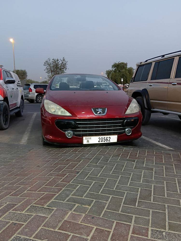 2007 Peugeot 207