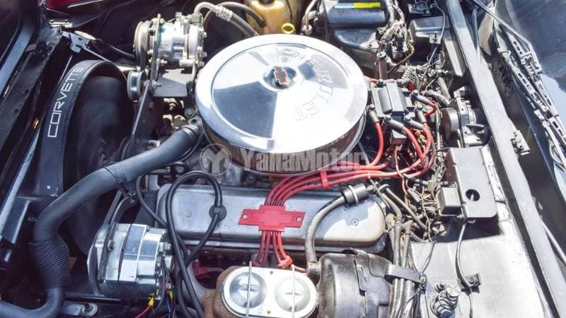 1982 Chevrolet Corvette thumbnail 8